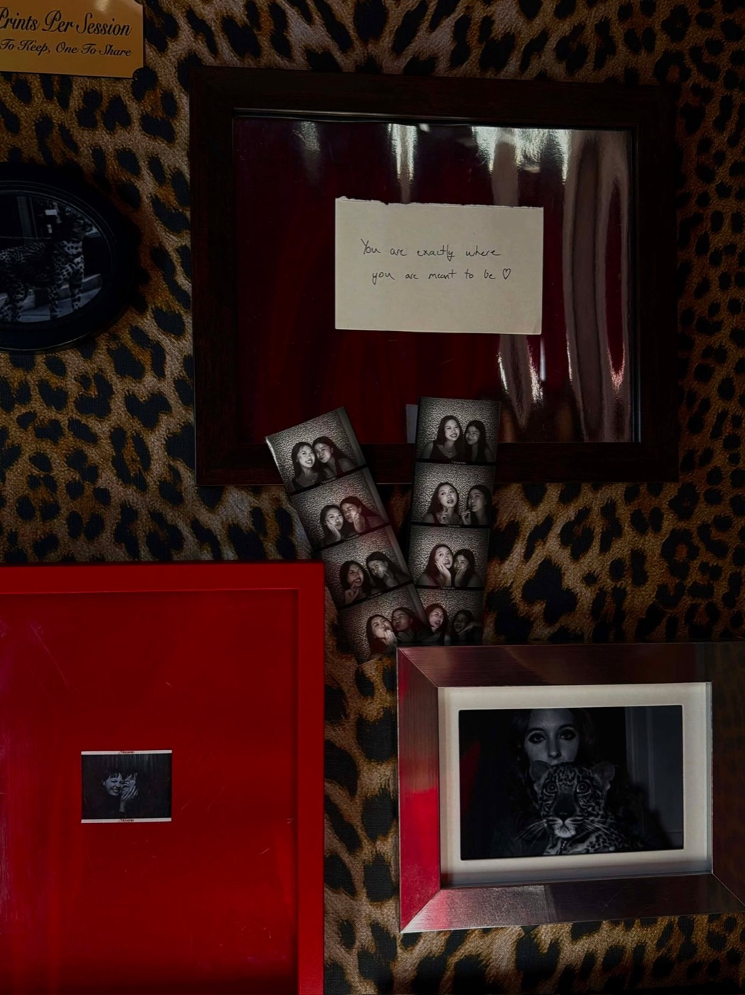Photo strips tucked into framed prints on the leopard wall beside a handwritten note reading you are exactly where you are meant to be.